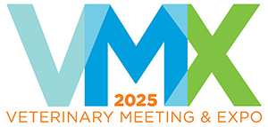 Live Event Calligraphy,Live Event Foiling,live event engraving